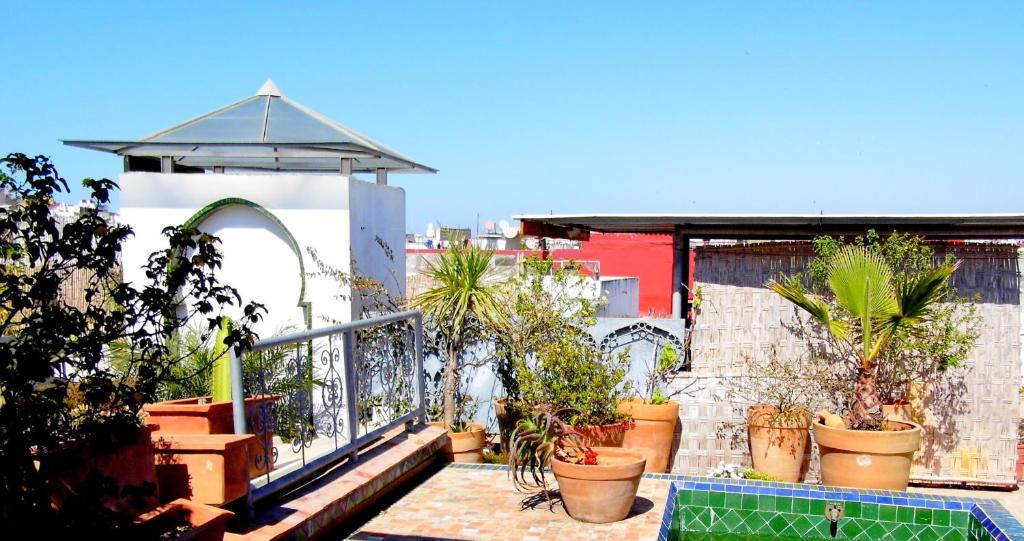 un balcon avec des plantes en pot et un parasol dans l'établissement Riad Marco Andaluz, à Sale 28 autres photos