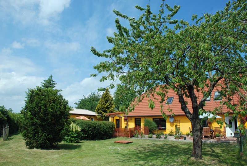 a yellow house with a tree in the yard at Ferienwohnungen in Lipsitz auf Rue in Thesenvitz