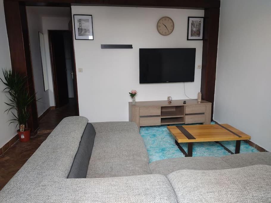 ein Wohnzimmer mit einem Sofa und einem Flachbild-TV in der Unterkunft Petite maison de village in Puylaurens