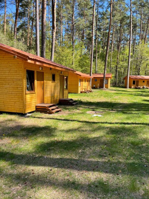 grupa domków w lesie w obiekcie Domki i Pole Namiotowe Pod Sosnami w Olsztynie