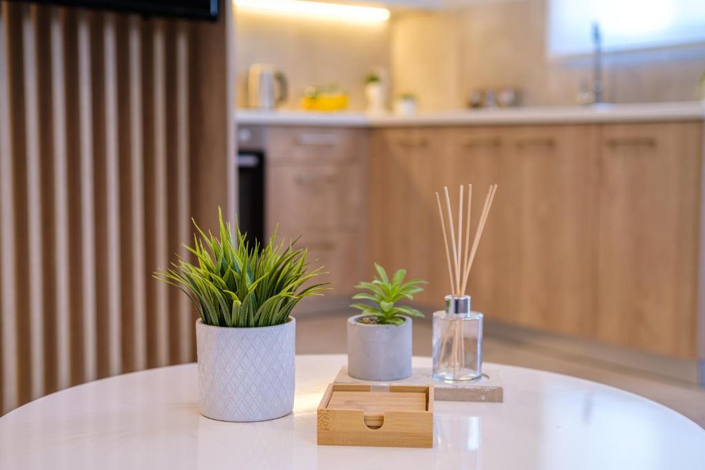 dois vasos de plantas sentados numa mesa numa cozinha em Olivo Home em Zipárion