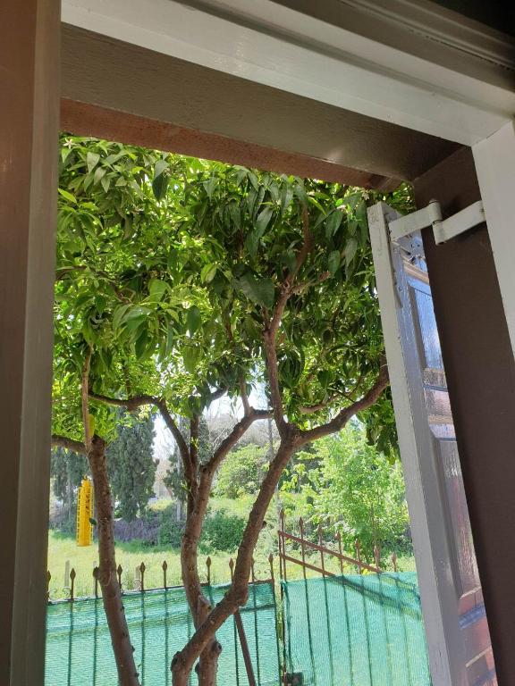 Fotografie z fotogalerie ubytování Villa Asteria v destinaci Agria