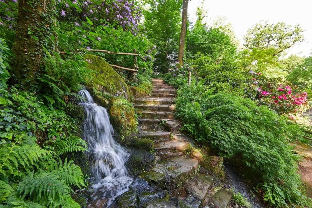 Treize-VentsにあるLe Moulin de Froment à 10 min du Puy du Foの庭の滝へとつながる階段