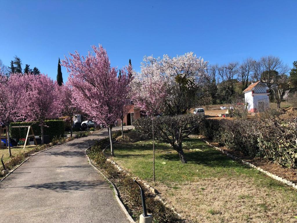 un camino con árboles con flores rosas. en Chambres d'hôtes Marylou en Valensole
