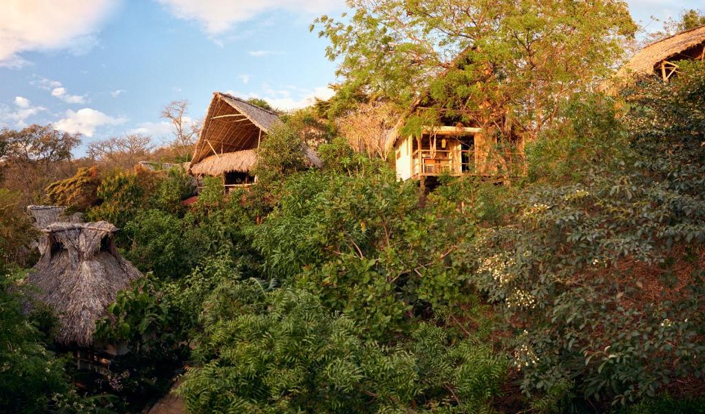 een huis bovenop een heuvel met bomen bij Hostel Clandestino Maderas in El Plantel