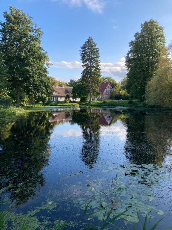 Příroda nedaleko apartmánu