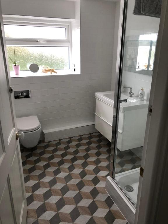 a bathroom with a shower and a toilet and a sink at SEREN cottage by the sea in Llangadwaladr