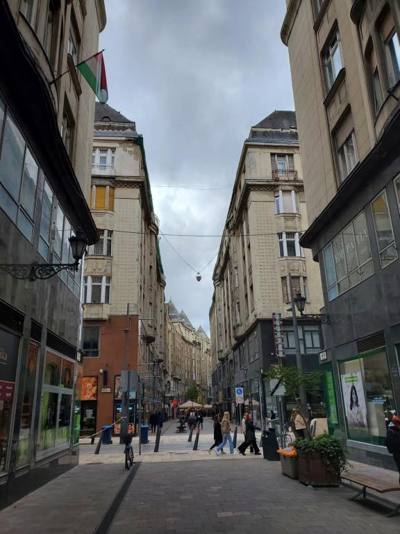 uma rua da cidade com pessoas andando pela rua em Budapest Walking Street-T em Budapeste