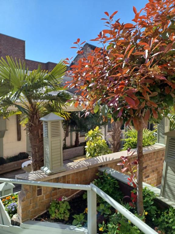 Hotel Koffieboontje - Resim 12