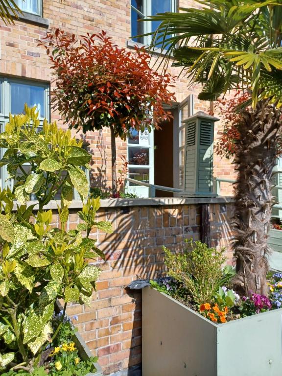 Hotel Koffieboontje - Resim 11