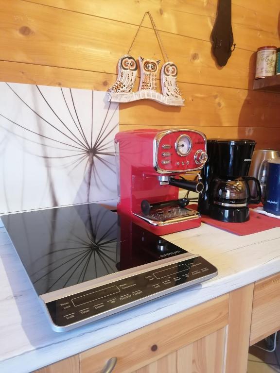 Kuchyň nebo kuchyňský kout v ubytování Agriturismo bio Apipoli