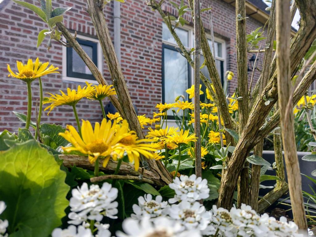 un ramo de flores blancas y amarillas frente a un edificio en Grytmanshoeve, Vakantiehuis met glamping, en Niawier