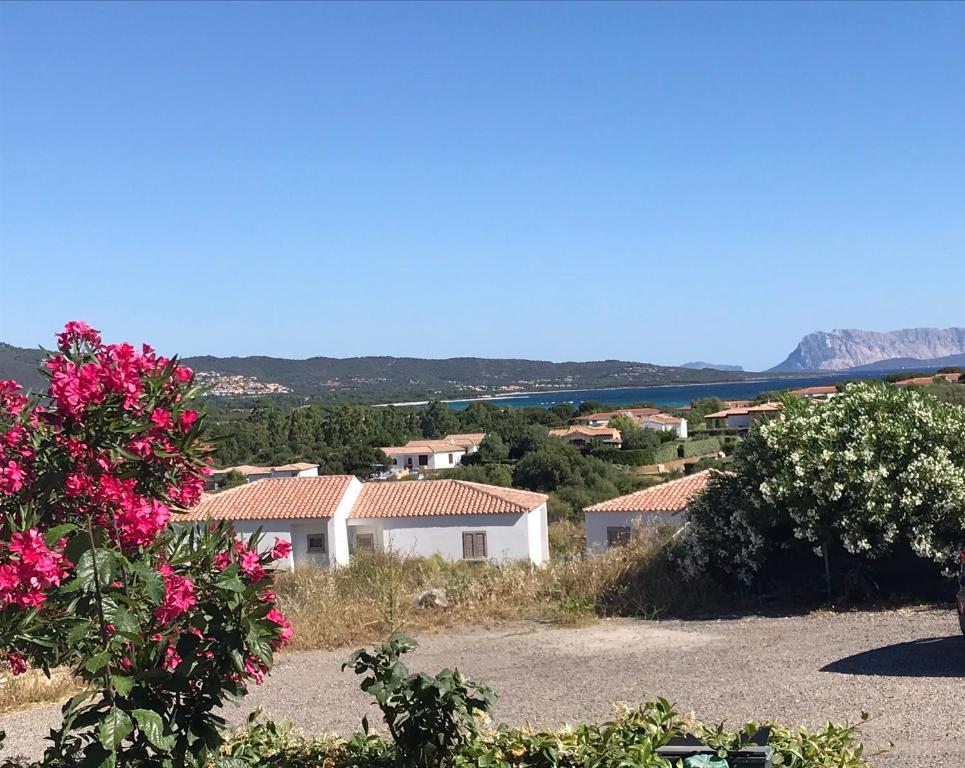 uma vista para uma casa com flores cor-de-rosa numa colina em Frank's Home em Tanaunella