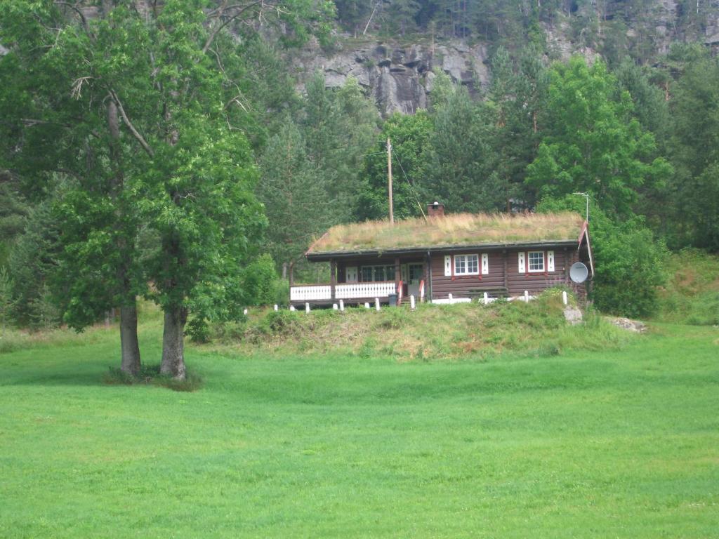 uma casa com um telhado de relva com uma árvore num campo em Lie Hytteutleige -Gjestegård - Thor Fine Art 3 hytte enheter em Åmdals Verk