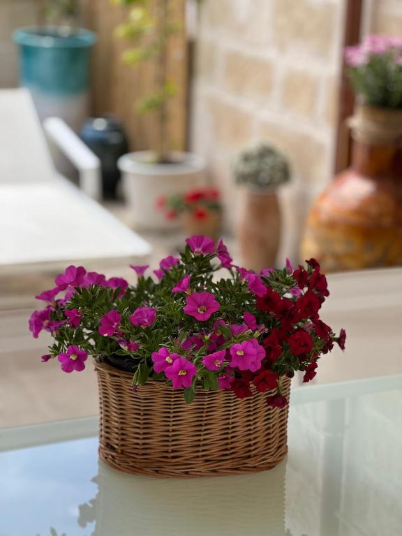 Suite Battisti 7 - 18