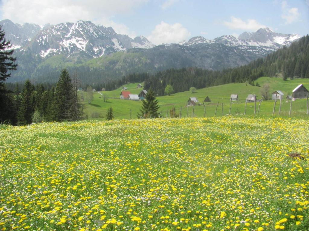 Un paisaje natural cerca de la casa de huéspedes