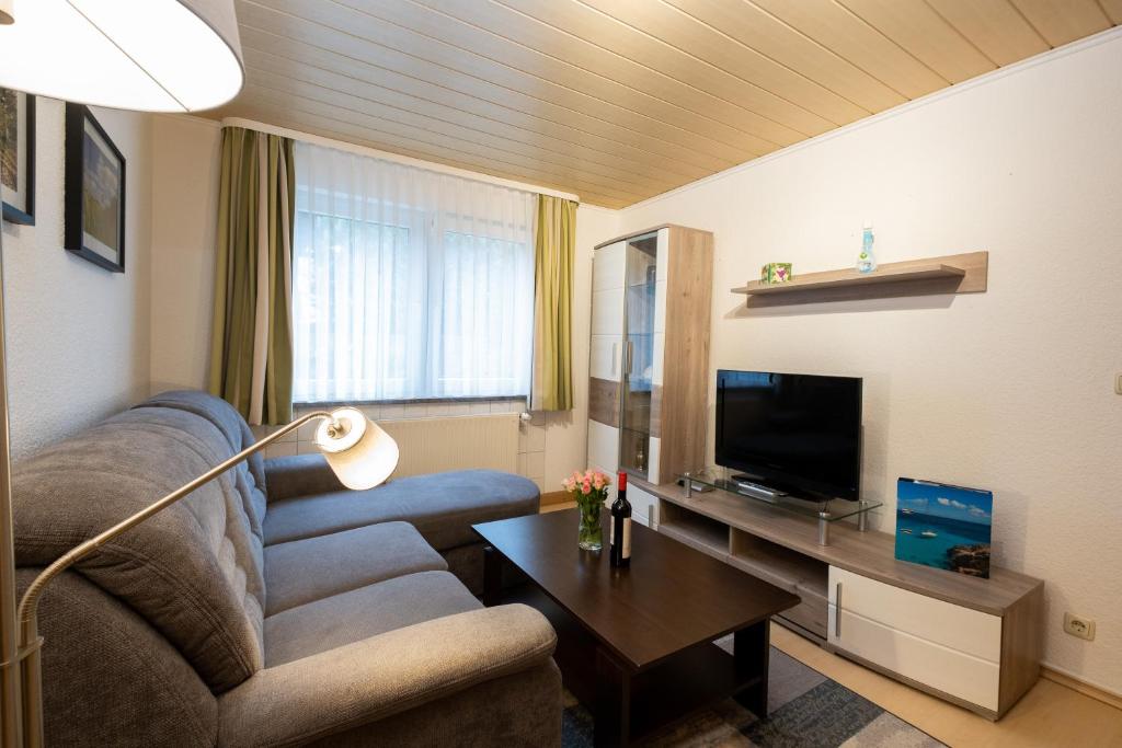 TV a/nebo společenská místnost v ubytování Haus 1