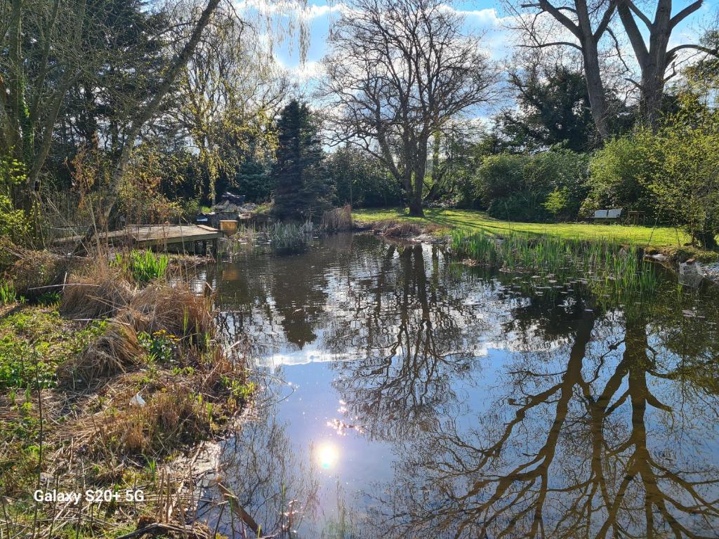 a pond in a park with its reflection in the water at The Reading whole chalet with lake and two acre gardens in Reading