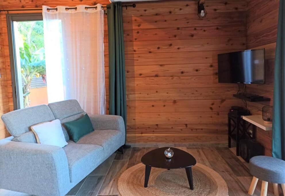TV a/nebo společenská místnost v ubytování L'escapade du sud sauvage, la case