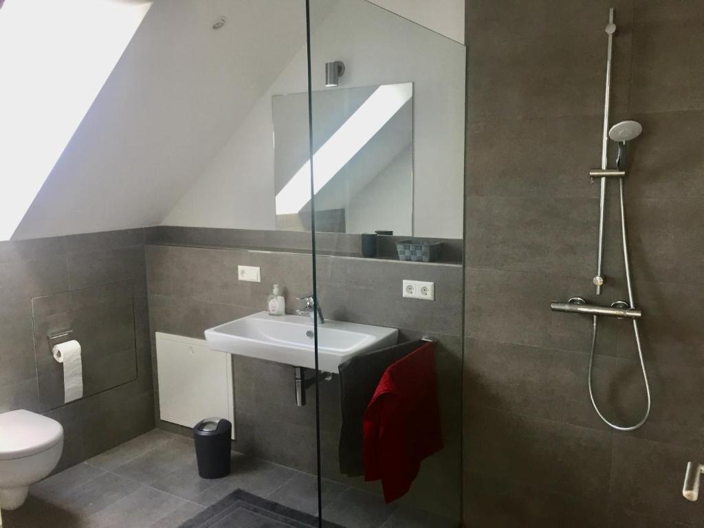 a bathroom with a sink and a glass shower at Ruhige 2-Zimmer Ferienwohnung FeWo Bodensee in Öhningen