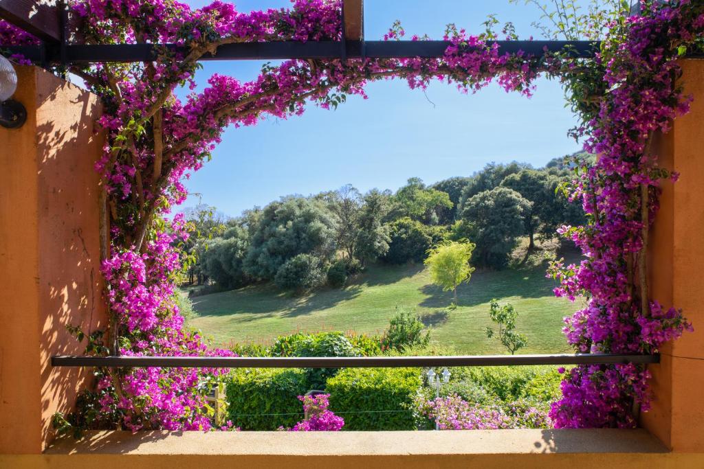 Residence Helios - 17