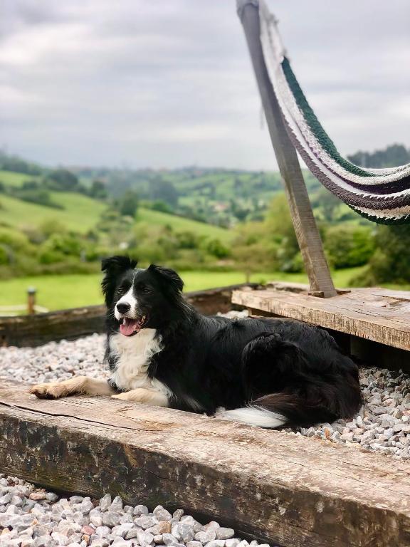 Glamping Quintana - 10