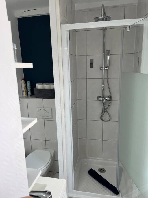 Kúpeľňa v ubytovaní Appartement T3 rénové 60m2 proche centre Colmar