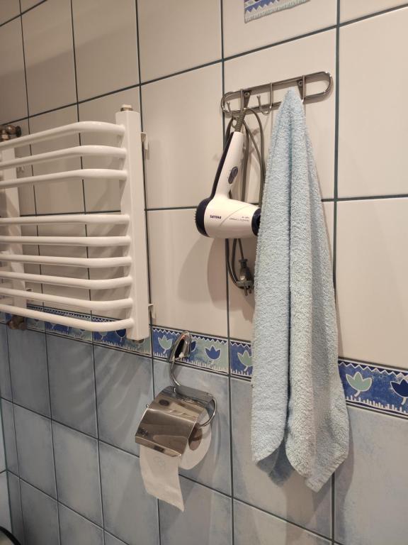 Kúpeľňa v ubytovaní Willa Ewelinka