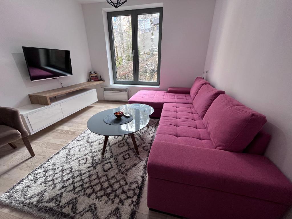 TV a/nebo společenská místnost v ubytování Srebrna Lisica 98 - Cosy studio appartment, near the ski track