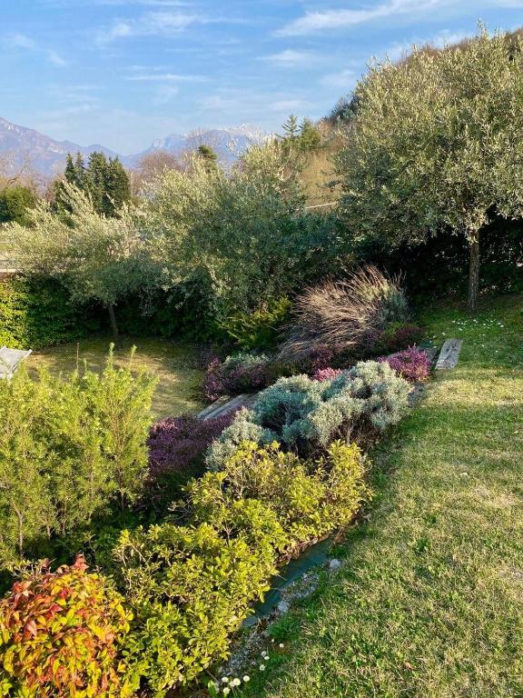 Vonkajšia záhrada v ubytovaní Oleandro Garden 1 - Menaggio by LoveComo