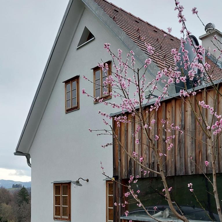 Edificio in cui si trova la casa vacanze