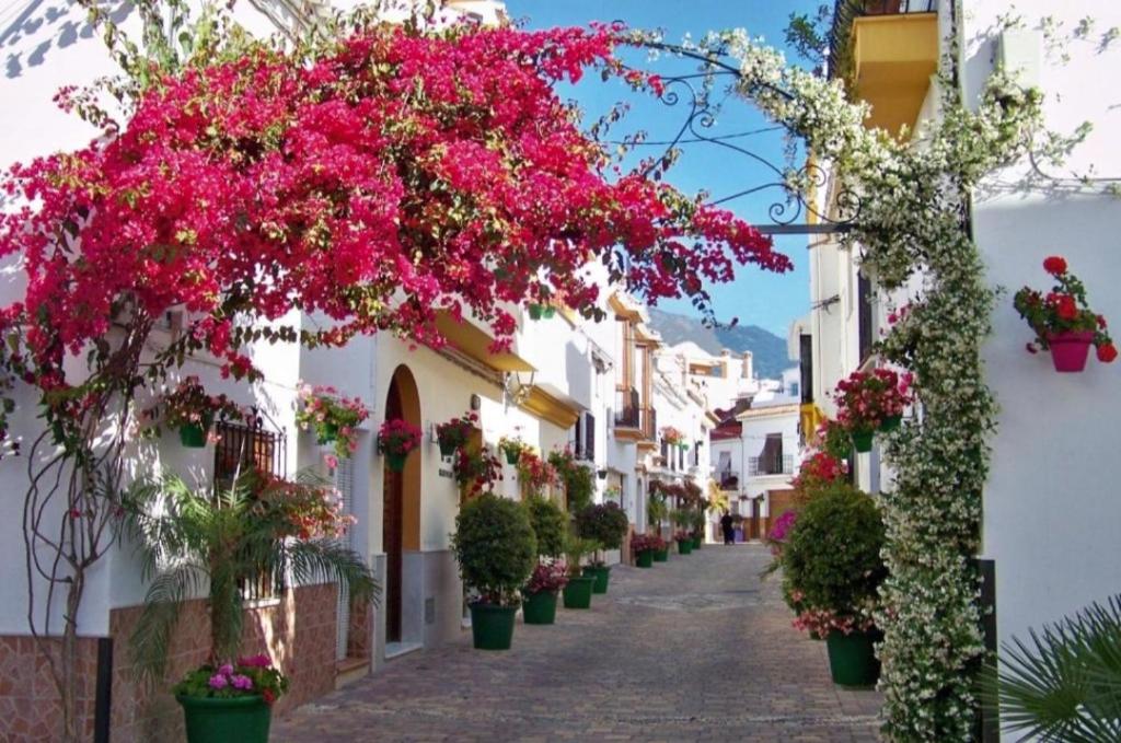 Fotografia z galérie ubytovania Vista Gaviota v destinácii Estepona