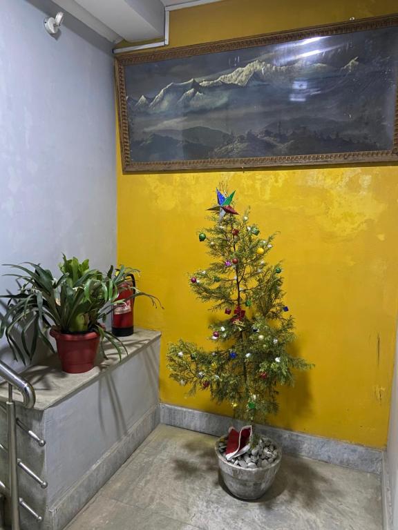 Fotografie z fotogalerie ubytování Hidden Gem Residency v destinaci Kalimpong