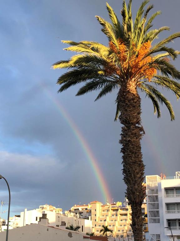 Fotografie z fotogalerie ubytování Olivia SunSet Blanco v destinaci Puerto de Santiago