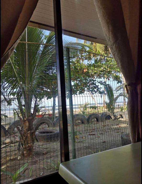Fotografie z fotogalerie ubytování Apartamentos Zamora v destinaci Puerto Limón
