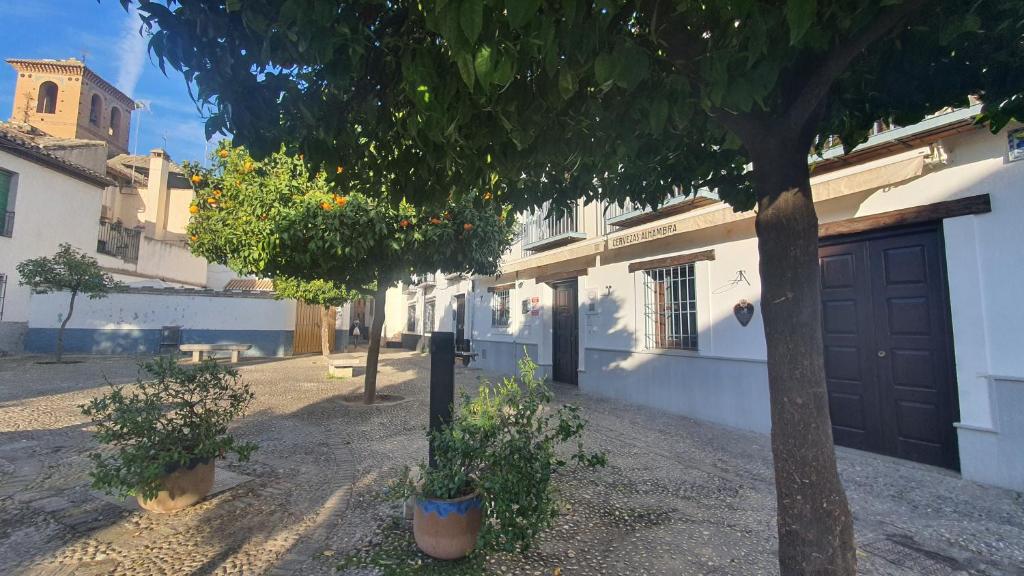 CASA MORENA MiA APARTAMENTOS - Resim 30