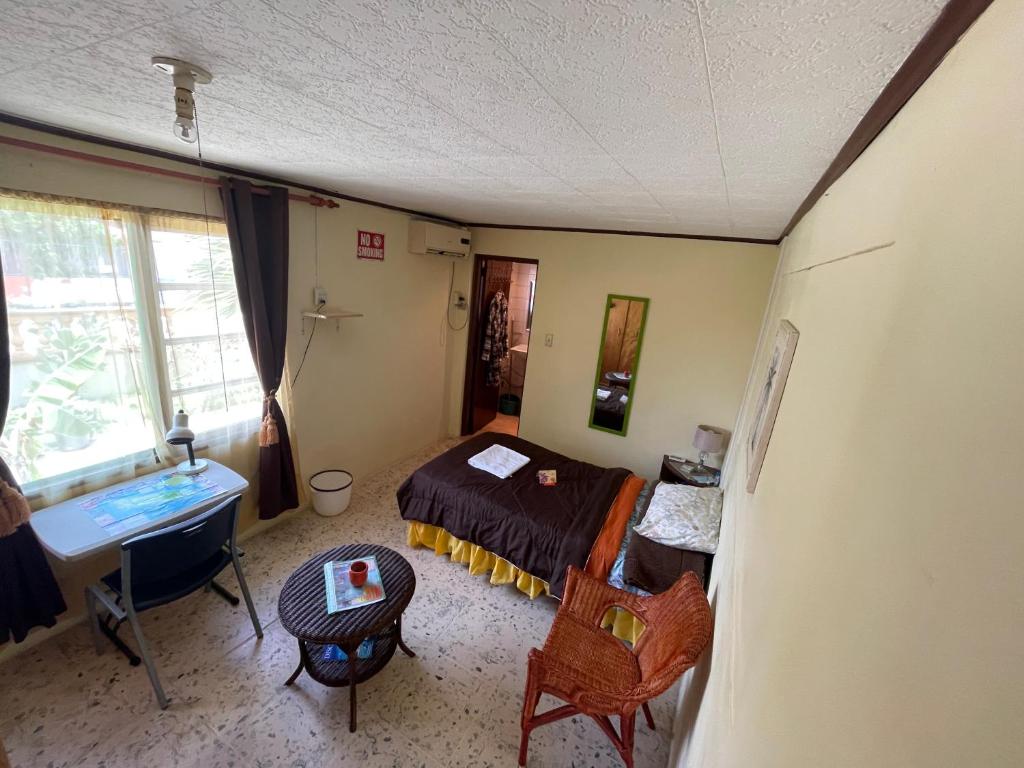 een slaapkamer met een bed, een bureau en een wastafel bij Aruba Backpackers in Oranjestad
