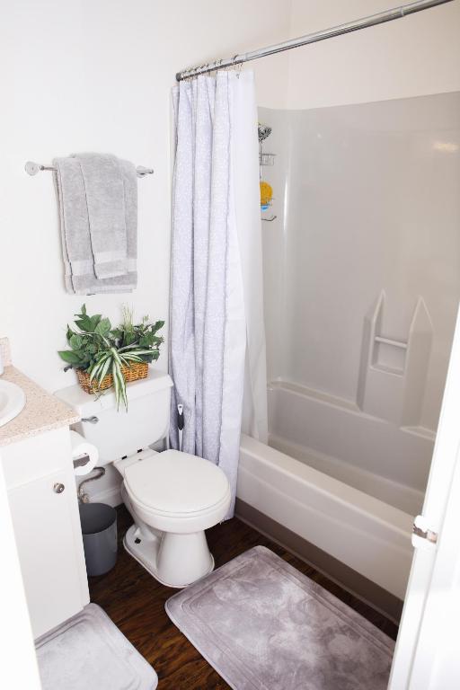 رزرو هتل و هاستل، Homey Oasis در عرض چند دقیقه از ماجراهای سن دیگو, 09197245266