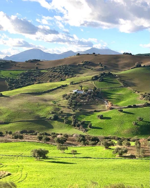 Fotografia z galérie ubytovania Finca Las Campanas II v destinácii Villanueva de la Concepción