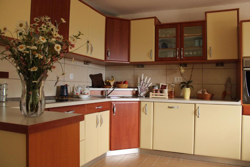 Kuchyň nebo kuchyňský kout v ubytování APARTMA BREST