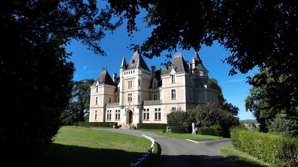a castle on a hill with a road at Château de la Rose in Cluis
