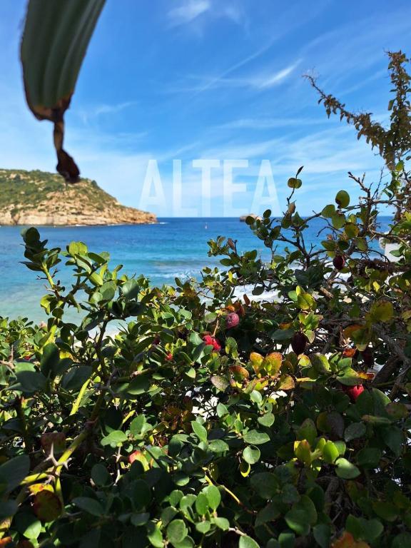 a view of the ocean from a bush with an island in the background at Casa Francesca Altea piscina y aparcamiento privado in Altea