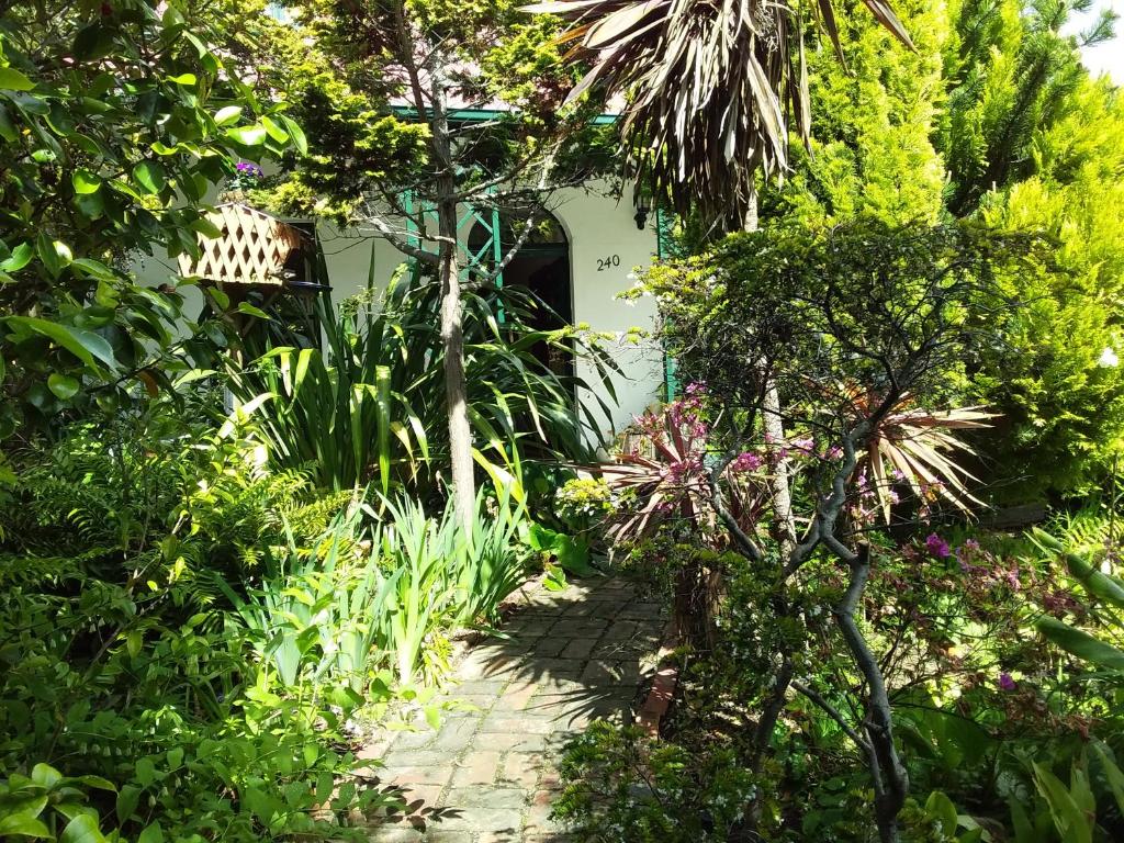 荷伯特的住宿－Josie's Cottage，穿过种有植物的花园的路径