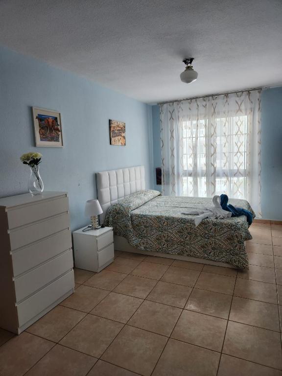 Fotografie z fotogalerie ubytování DIAMOND440 v destinaci Los Cristianos