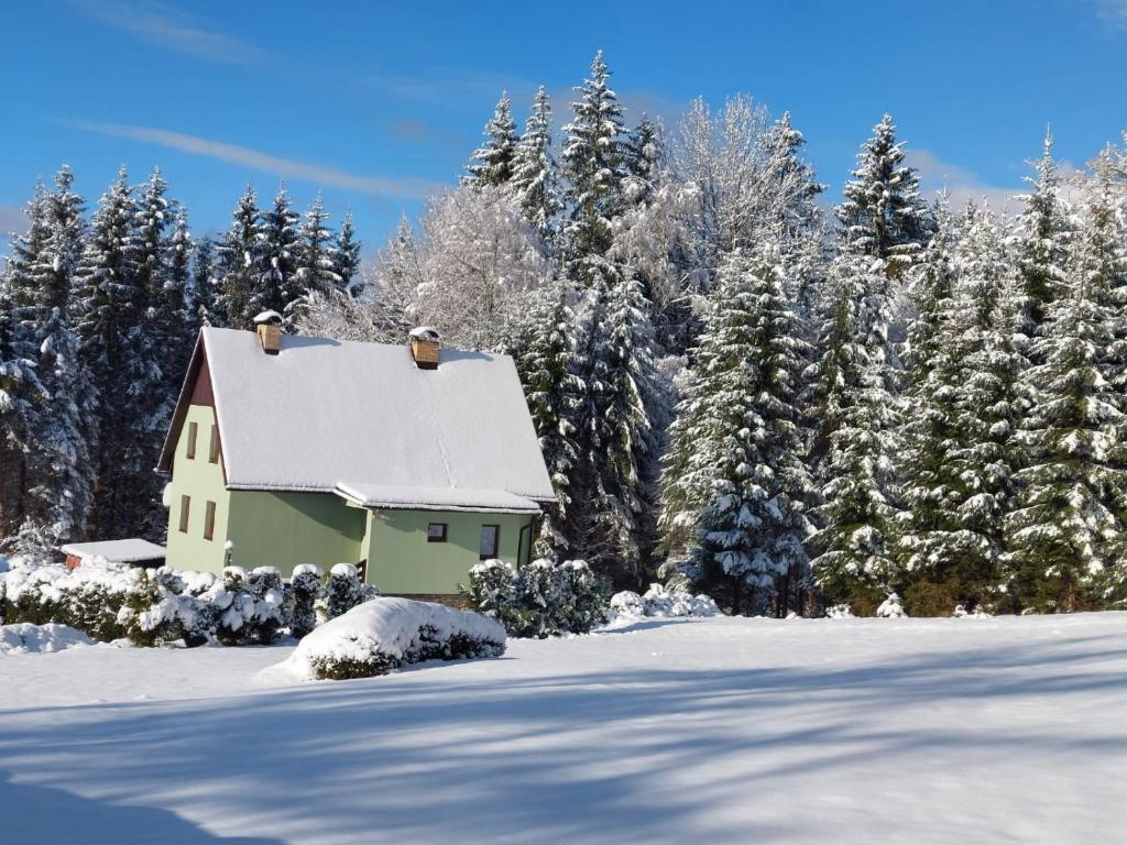 a house covered in snow in front of trees at Chata Lipno in Lipno nad Vltavou