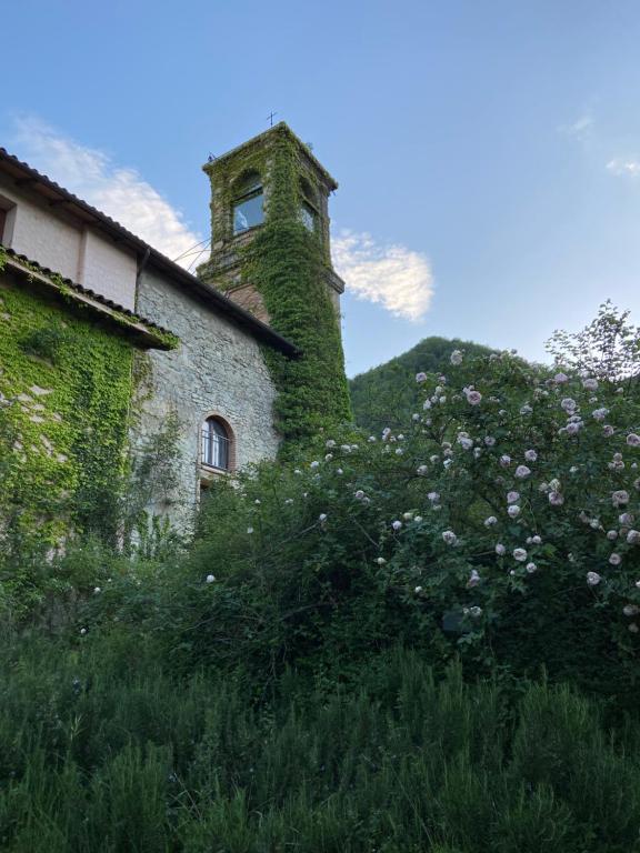 un bâtiment recouvert de lierre avec une tour sur une colline dans l'établissement Chiesa Ignano 1778, à Marzabotto