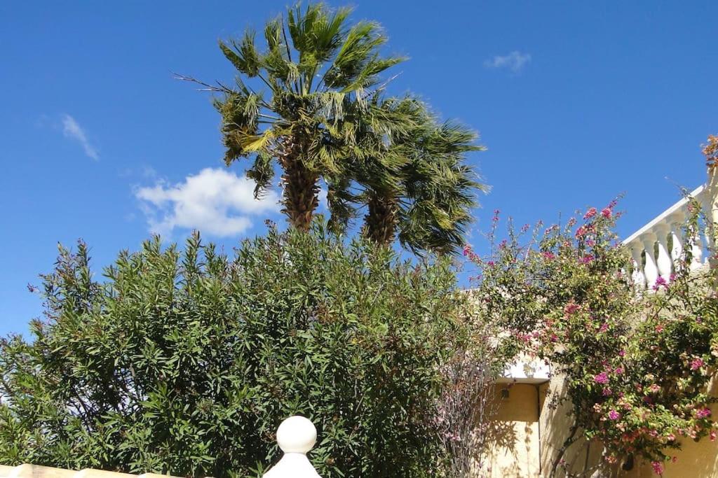 Fotografia z galérie ubytovania VILLA ALTEA HILLS, vue mer, piscine chauffée, WIFI v Alicante