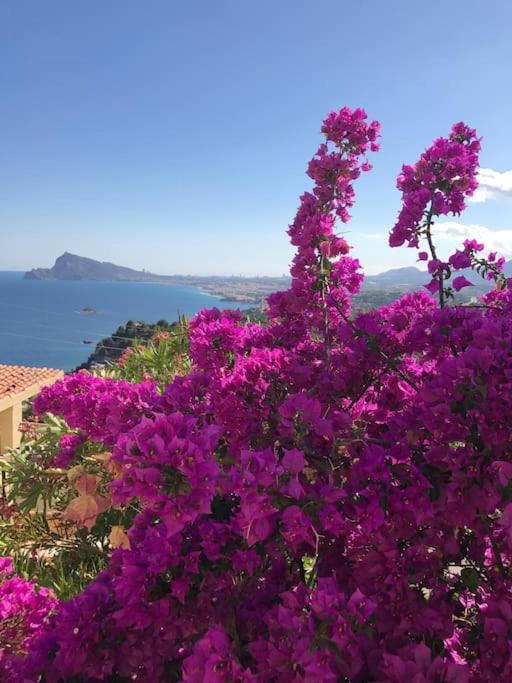 Fotografia z galérie ubytovania VILLA ALTEA HILLS, vue mer, piscine chauffée, WIFI v Alicante