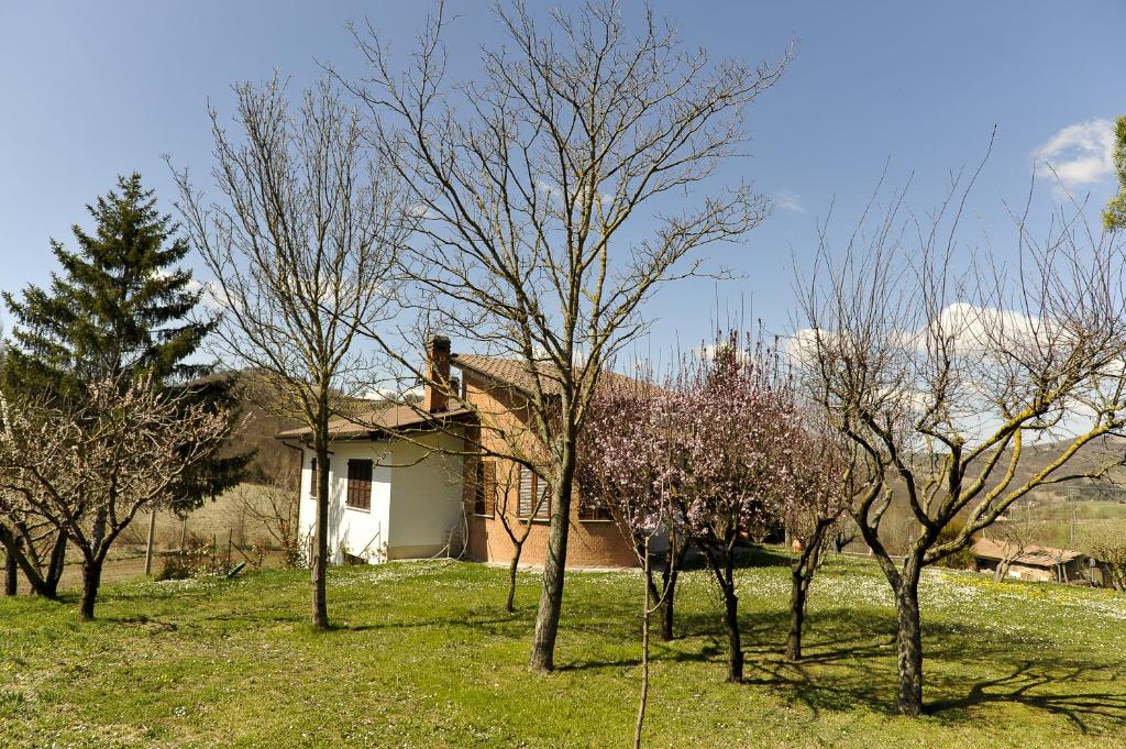 Zdjęcie z galerii obiektu Aleanna Appartamenti w mieście Nocera Umbra