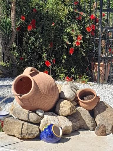 Ogród w obiekcie Casita Blanco